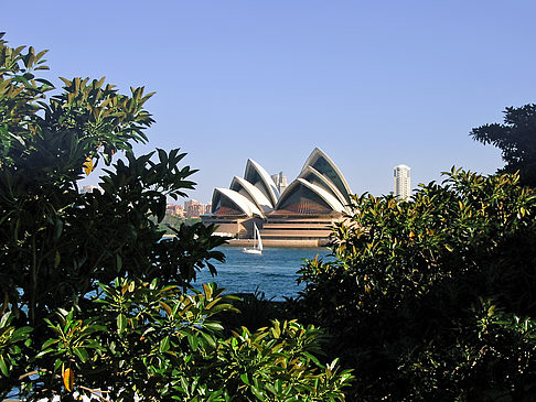 Stadt - Neusüdwales (Sydney)