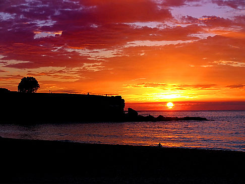 Foto Coogee Beach - Randwick