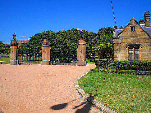 University of Sydney