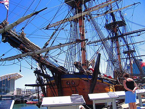 Endeavour Foto 
