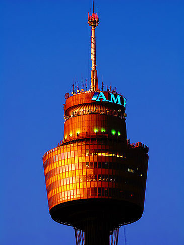 Sydney Tower Foto 