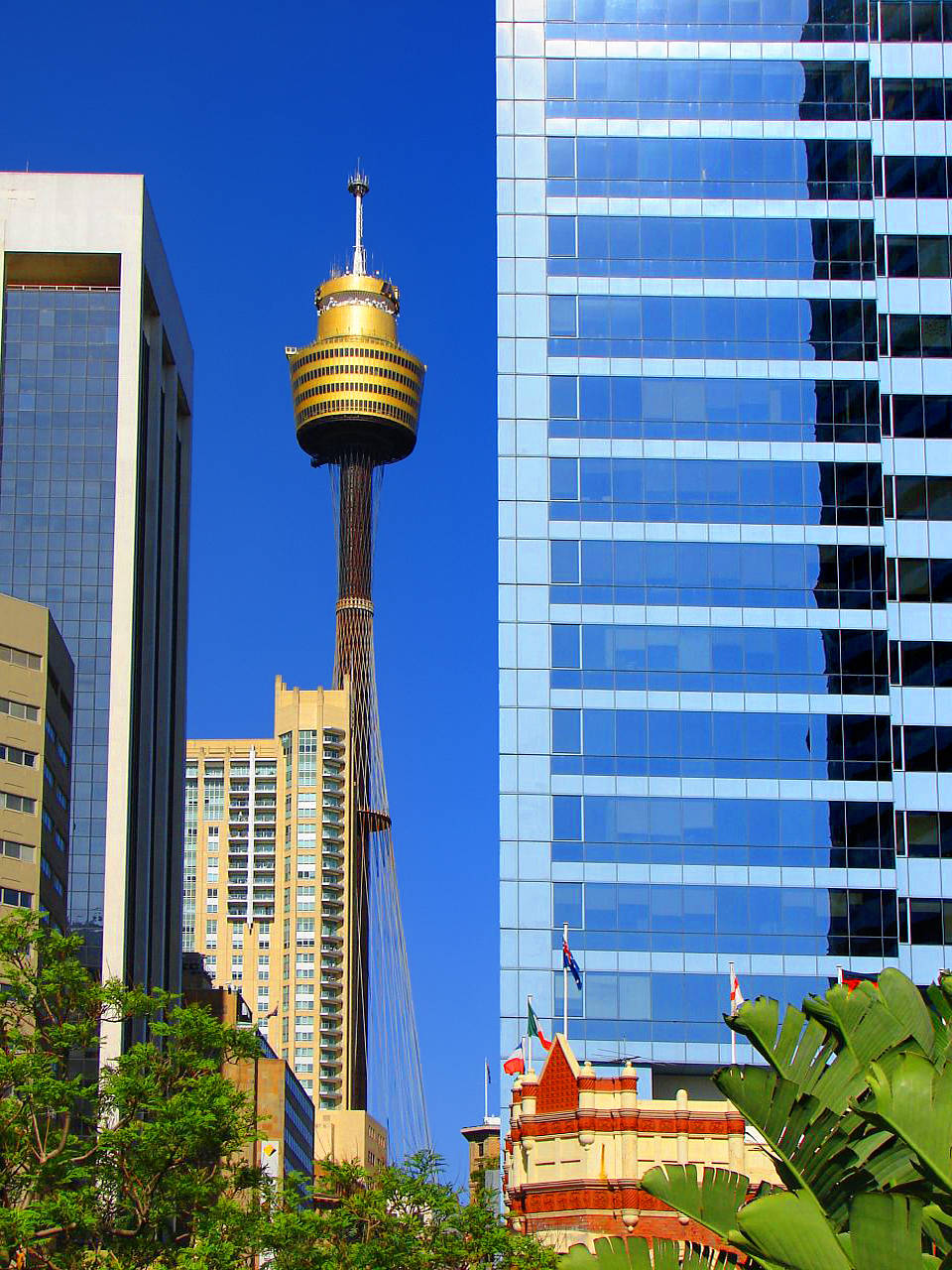 Touren in Sydney Fotos